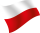 polska wersja